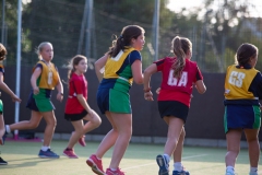 Chiswick_Netball-01