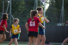 Chiswick_Netball-03